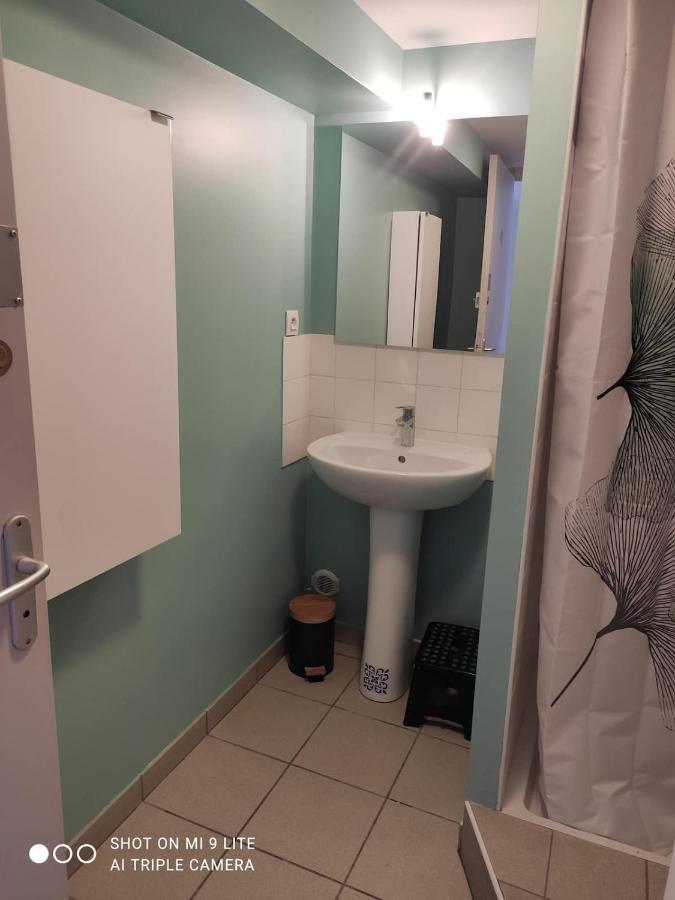 La Cahute, Appartement T2 Avec Jardin Ou Appartement Familial T6 モントーバン エクステリア 写真