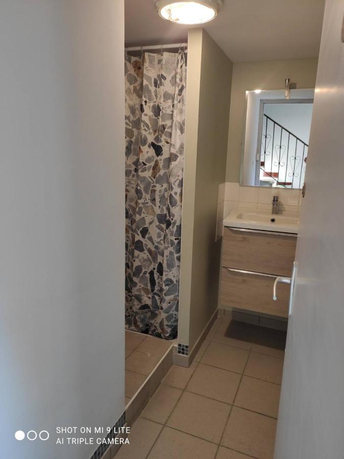 La Cahute, Appartement T2 Avec Jardin Ou Appartement Familial T6 モントーバン エクステリア 写真